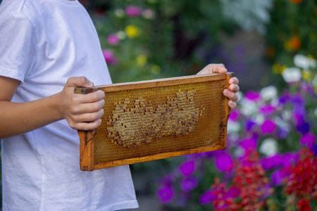 Boy holding a full frame of natural honeycombs against a colorful blooming garden background.