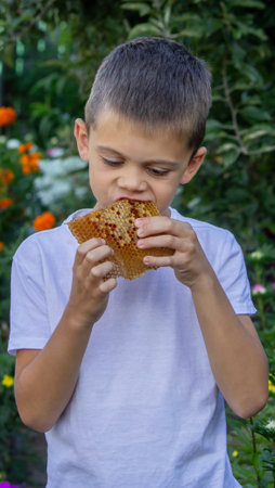 Boy eating fresh honey directly from the honeycomb in a summer garden.の写真素材