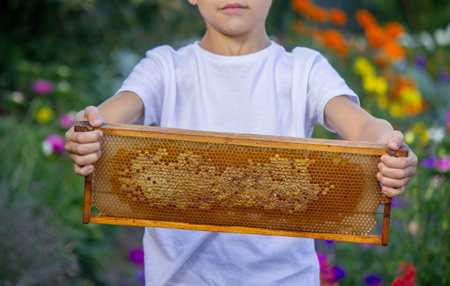 Boy holding a full frame of natural honeycombs against a colorful blooming garden background.