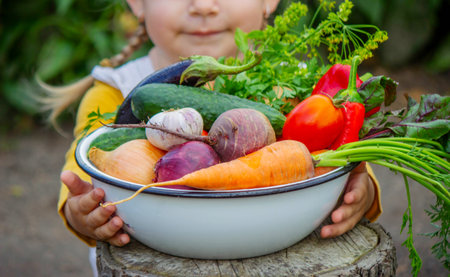 Little girl holding a bowl of fresh organic vegetables in the garden.の写真素材