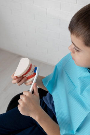 Child brushing a dental jaw model, learning oral hygiene and tooth care.