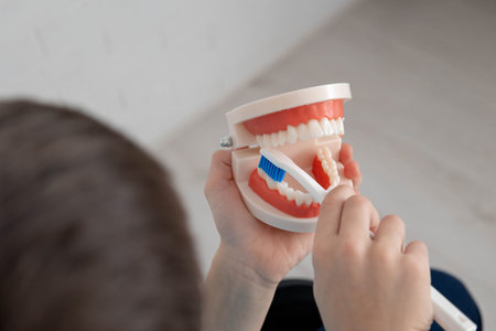 Child brushing a dental jaw model, learning oral hygiene and tooth care.