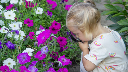 Little girl with magnifying glass looking at petunias in a blooming summer garden.の写真素材