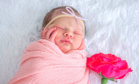 Sleeping newborn baby girl in pink wrap with a rose flower on white fur background.の写真素材