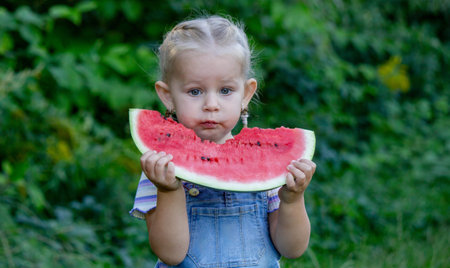 Little girl eating a slice of ripe watermelon in the summer gardenの写真素材
