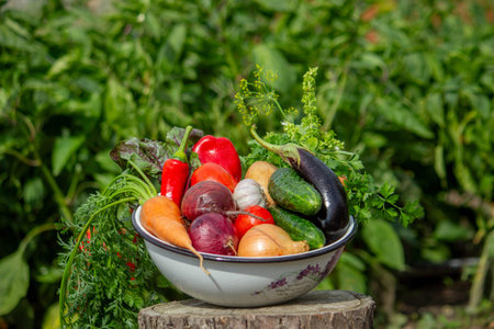 Fresh harvest of vegetables in a bowl on a tree stump in the garden.