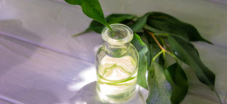 Natural cosmetic oil in a glass bottle and green leaves on a wooden tableの写真素材