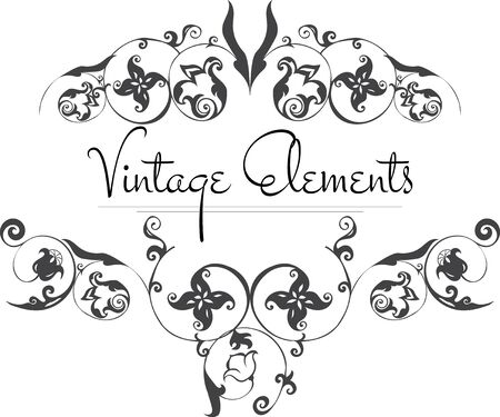 Hand Drawn Vintage Vector Flourishes on whiteのイラスト素材