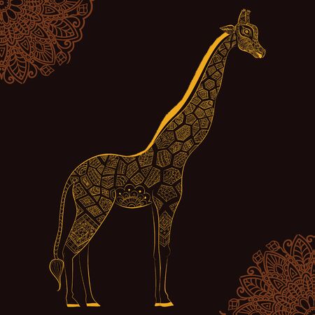 Beautiful adult Giraffe. Hand drawn Illustration of giraffe.  isolated giraffe on dark background. The head of a shaped giraffeのイラスト素材