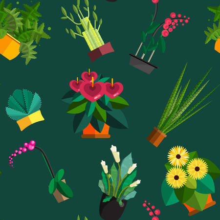 Illustration of houseplants, indoor and office plants in pot. Dracaena, fern, bamboo, spathyfyllium, orchids, Calla lily, aloe vera, gerbera, snake plant, Mother-in-law tongue, anthuriums. Flat plants, icon setのイラスト素材