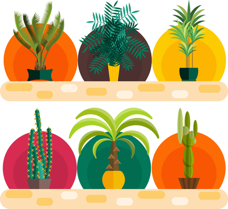 Tropical plants, Set of flat potted houseplants.のイラスト素材