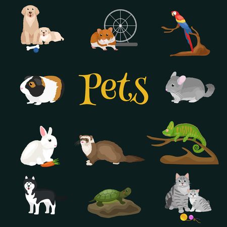 Home pets set, cat dog parrot goldfish hamster ferret, cartoon vector illustration, domesticated animalsのイラスト素材
