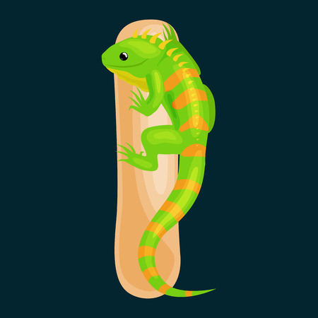 iguana animal and letter for kids abc education in preschool.Cute animals letters english alphabet. Cartoon animals alphabet for learning letters vector illustration. Single letter with wild animal iguanaのイラスト素材