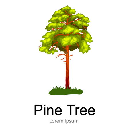 Pine Tree with branch and leafs in wild forest outdoors. Isolated ecology natural wood. Forest green trees on the grass bush summer landscape background. Nature landscape design elements isolatedのイラスト素材