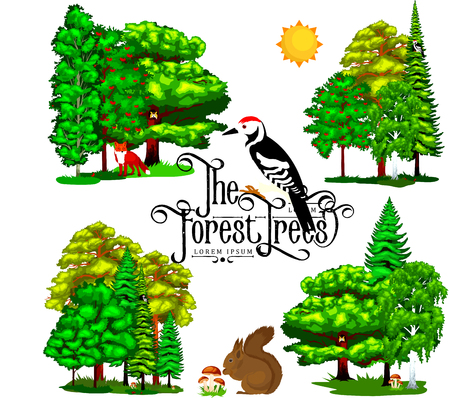 Green Forest Tree isolated on white background. Cartoon vector set trees in outdoor park. Outdoor trees in the park with branch, foliagles and leafs. Wild trees in forest, plants and animals.のイラスト素材