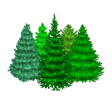 Set of christmas vector tree like fir or pine Blue spruce for New year celebration without holiday decoration, evergreen xmas plants.のイラスト素材