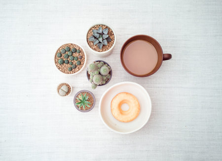 Collection of various potted cactus house plants, doughnut with a cup of coffee, top view - image