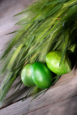 Green Easter eggs on a wooden table. の写真素材