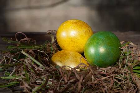 Tree Easter eggs on a wooden tableの写真素材