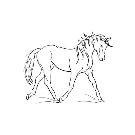 running horse vector outlineのイラスト素材
