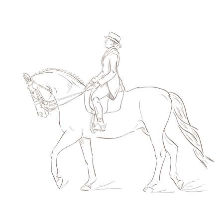 Dressage horse, vector sketchのイラスト素材