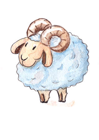 Cute sheepの写真素材