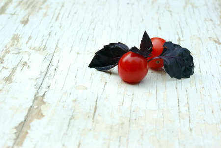 Sweet basil leaves with cherry tomatoes on a grungy tableの写真素材