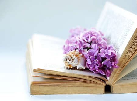 Vintage romantic background with old book, lilac flower, and little seashellの写真素材