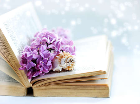 Vintage romantic background with old book, lilac flower, and little seashellの写真素材