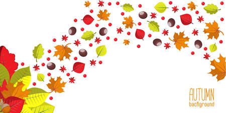 Autumn background for invitation or ad template with wreath from leaves, seeds and nutsのイラスト素材