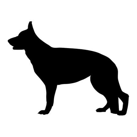 Black vector silhouette of German Shepherd dog.のイラスト素材