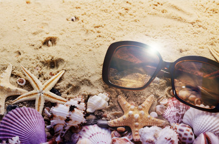Different seashells and sunglasses on the sand. Summer beach background.
