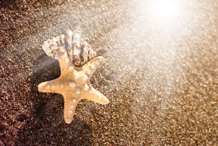 Starfish and seashell on the beach at sunrise. Vacation poster conceptの写真素材