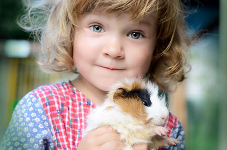 Cute white toddler girl in a rustic style dress holding a fluffy red guinea pig on her handsの写真素材