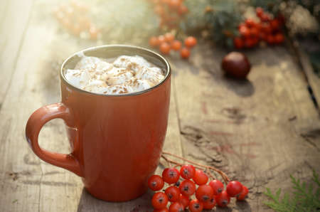Cocoa or cup of coffee with marshmallows, fir and bright rowan branches, knitted scarf on old wooden table outdoor with beautiful bokeh lights.の写真素材