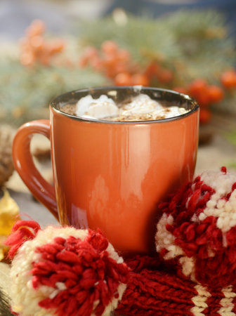 Cocoa or cup of coffee with tasty marshmallows, fir tree branch with red rowan tree berries. Still...