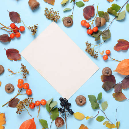 Bright yellow autumn leaves, chestnuts, pine cones and orange physalis flowers on a blue background with copy space for text. Beautiful autumn frame. Top view photoの写真素材