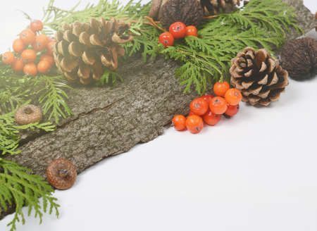 Christmas holidays composition with cones, rowan berries, green thuja branches. Winter seasonal background with space for textの写真素材