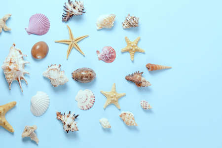 Plenty of different seashells on a blue background. Seaside themed backdrop for travel agency template advertising or postcard. Top view vintage toned still life.の写真素材