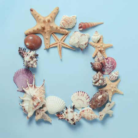 Frame of Plenty different seashells on a blue background. Seaside themed backdrop for travel agency template advertising or postcard. Top view vintage toned still life.の写真素材