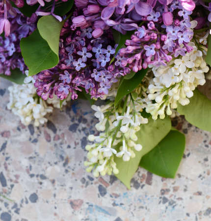Lilac flowers. Purple and white spring flowers on a grey stone surgace. Beautiful floral background.の写真素材