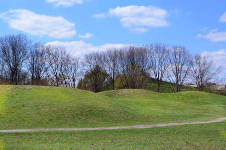 Green field and bright blue sky in early spring timeの写真素材