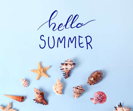 Creative layout made of different colorful seashells and greeting card with Hello Summer Letteringの写真素材