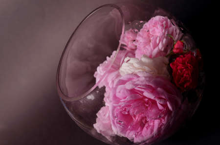 Roses on a glass vase, on a black background. Low key backgroundの写真素材