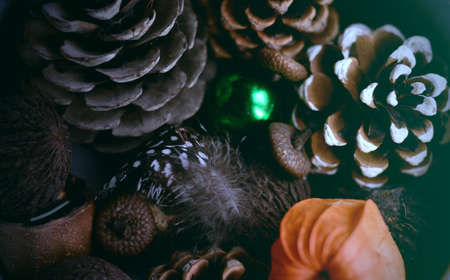 Vintage christmas background with pine cones closeupの写真素材