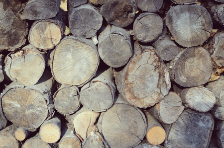 Stack of logs. A lot of cuted trunks Natural wooden background.