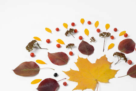 Autumn border. Composition of vibrant red and yellow leaves on a white background. Flat lay Top view background.の写真素材