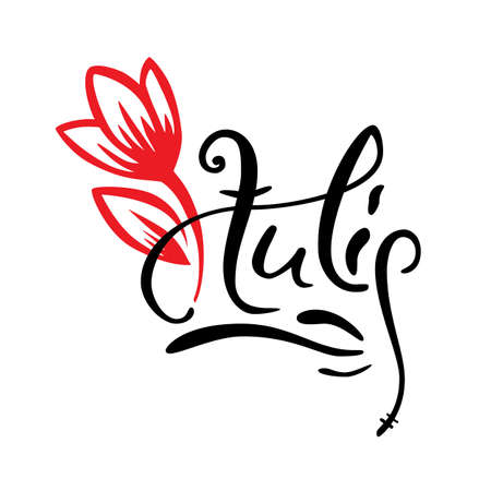 Old style lettering, Calligraphy. Word Tulip with hand drawn red vector flower for spa salon or flower shopのイラスト素材