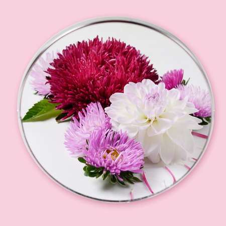 Creative background with chrysanthemum and dahlia flowers. Floral border flat lay conceptの写真素材