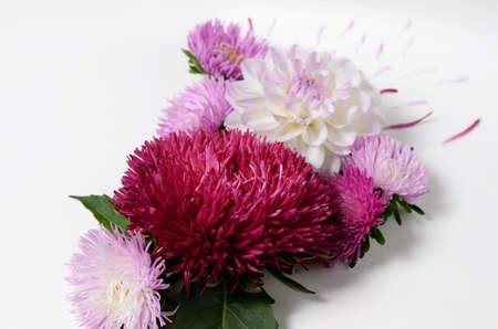 Creative background with chrysanthemum and dahlia flowers. Floral flat lay conceptの写真素材